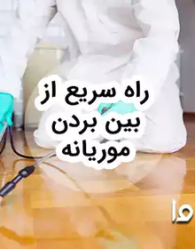 راه حل‌های سریع برای از بین بردن موریانه در خانه